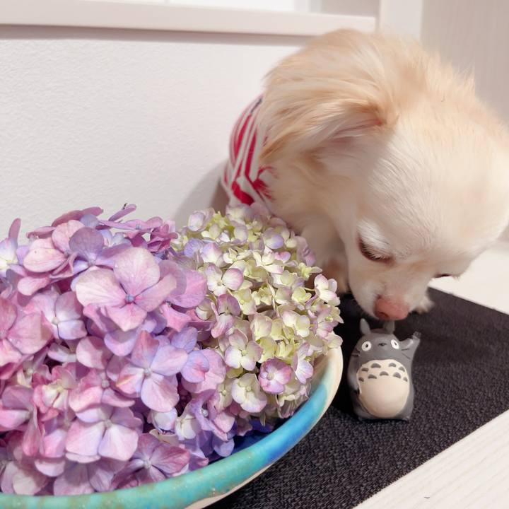 Fd8db451 4f53 41ff bde7 a77aa5f95284 1718281221833