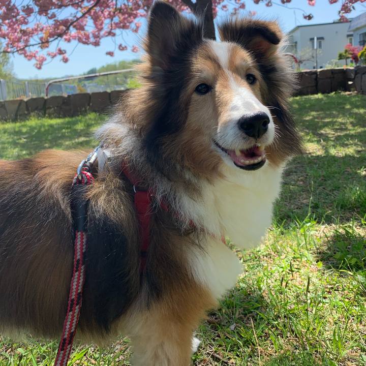 Fd8e01d2 f9b4 4014 b355 349dfe21996c 1570080612396