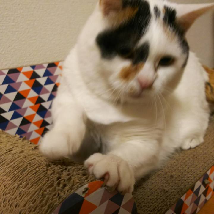 Fd8e37c1 eb4c 44e2 b4c1 ffb650d03741 1559908782715