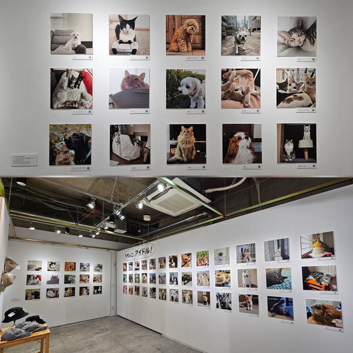 Fd8e564f ae8b 4f2e 8a9e 98a8fc8f4639 1761716722148