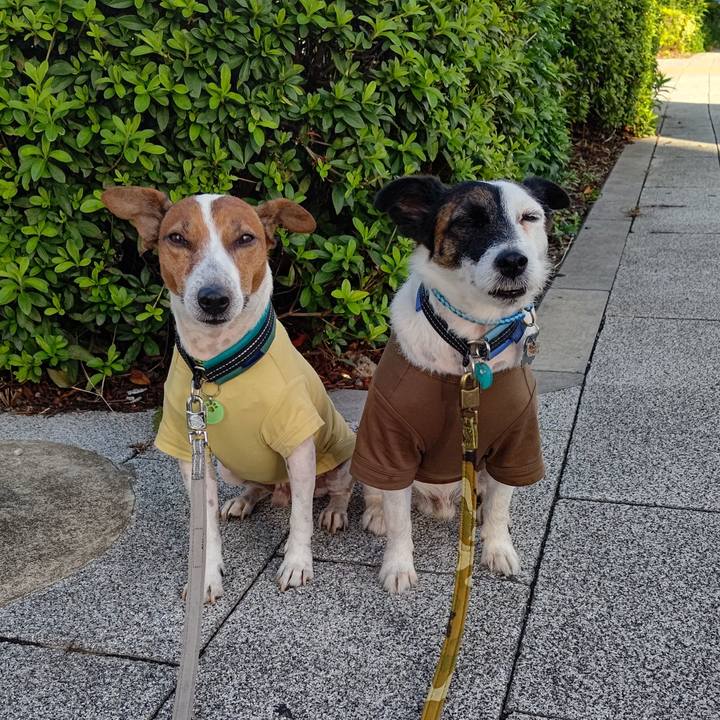 Fd8e5ee1 0a81 4313 b56d 28f513fd0c1b 1695681133197