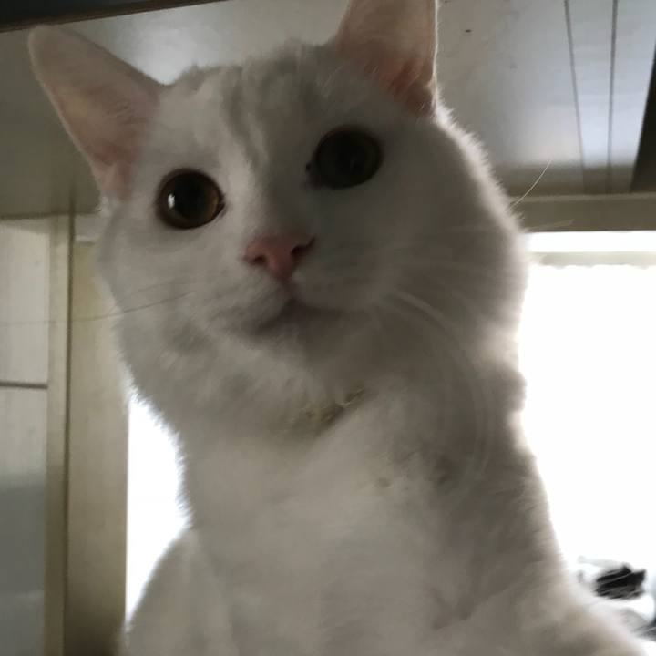 Fd8e654a d5fa 428f 8d32 92ffd71402ea 1519081265623