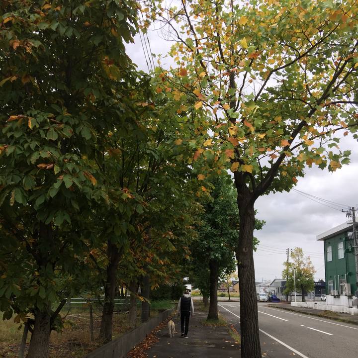 Fd8e9670 ecfa 4224 9fc9 f7624098f8eb 1508047839267