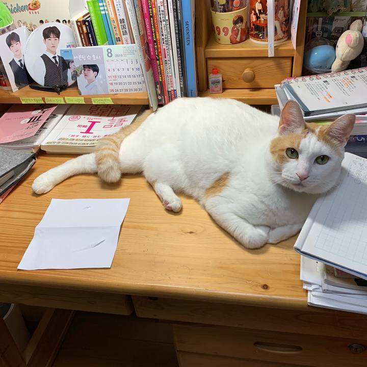 Fd8eacdf c817 4f73 b175 2c93fb8865c9 1566856816874