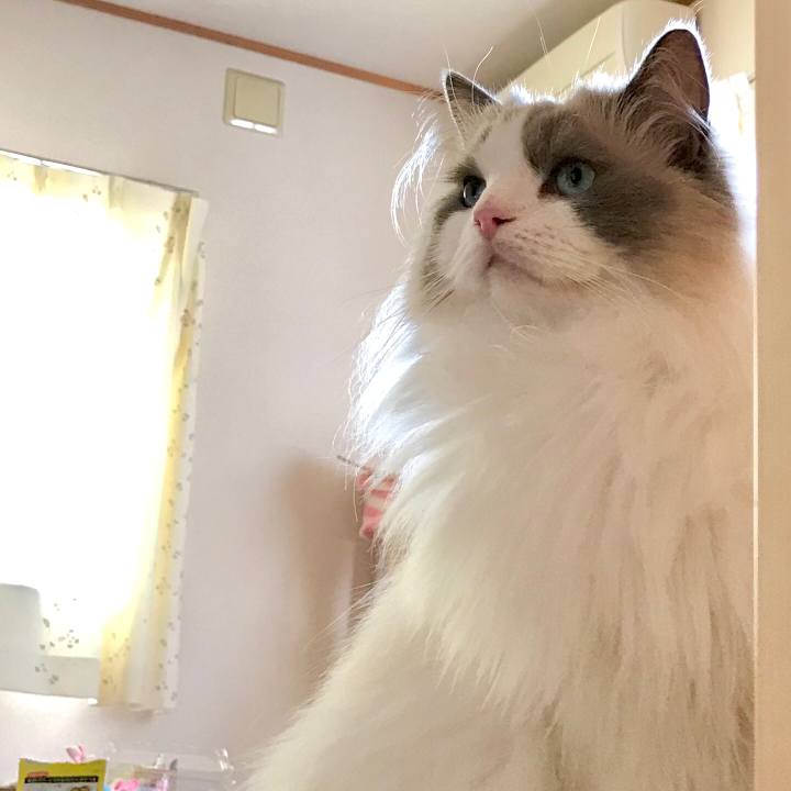 Fd8f1081 6032 4b95 9456 b59a3f55d450 1592042635349