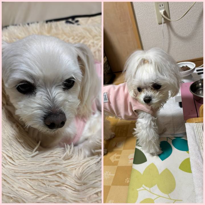 Fd8f37e7 e4b9 469c 9ea1 669661b1b40c 1772536330201