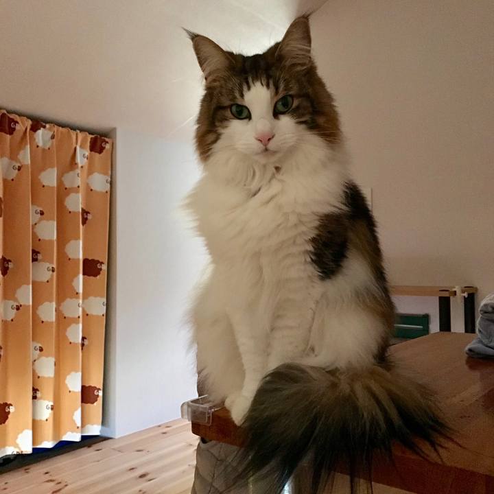 Fd8f5b18 092c 4f81 8c37 5b105fc8e3ba 1548490878363