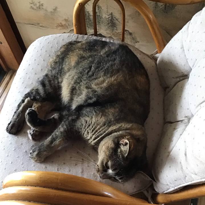 Fd8f74f4 de32 4059 a1ed be76dd3ca332 1757921515427