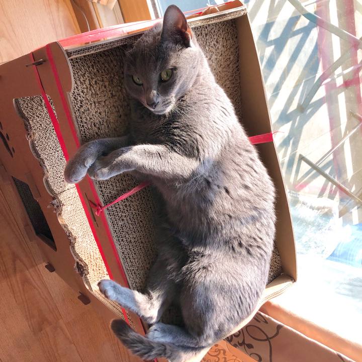 Fd8f8121 997c 408f bee3 7a1b5a9443c4 1621034715573