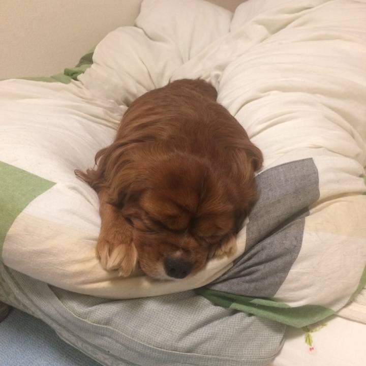 Fd8fbd6b 87ce 46be 9b67 344082c0b92e 1611924012511