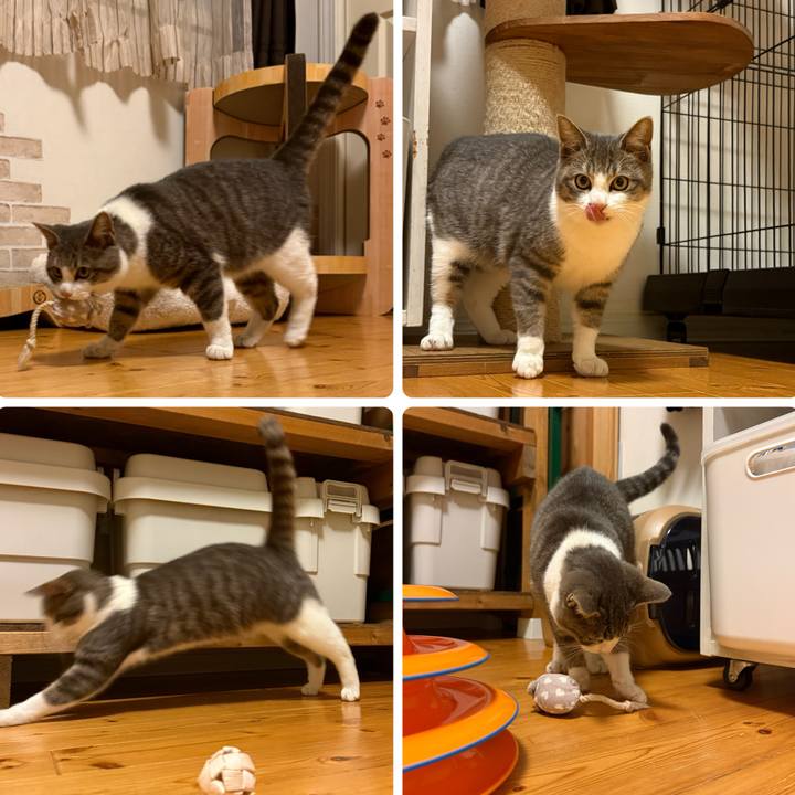 Fd8fe248 6676 402f 825d 7cedf4c4fb23 1765407190438