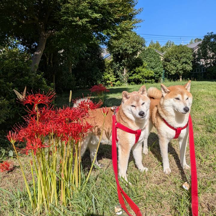 Fd90000e ae72 41e1 afc5 3c331cb5b06d 1758688778828