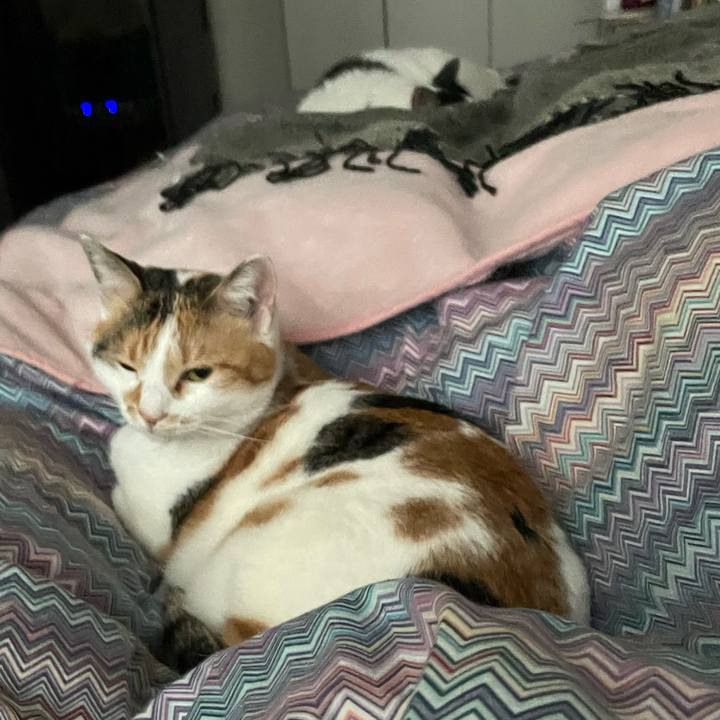 Fd900695 2bf5 4b7e bf4a 903777000f3d 1647905774639