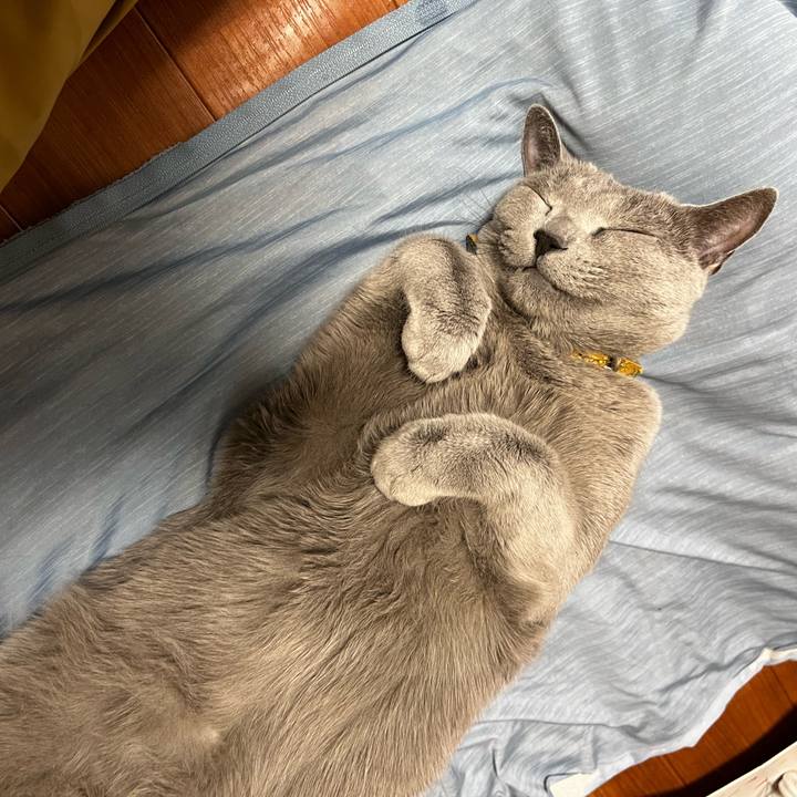 Fd901539 c6e0 40db 9456 33e4091b38d4 1693661236342