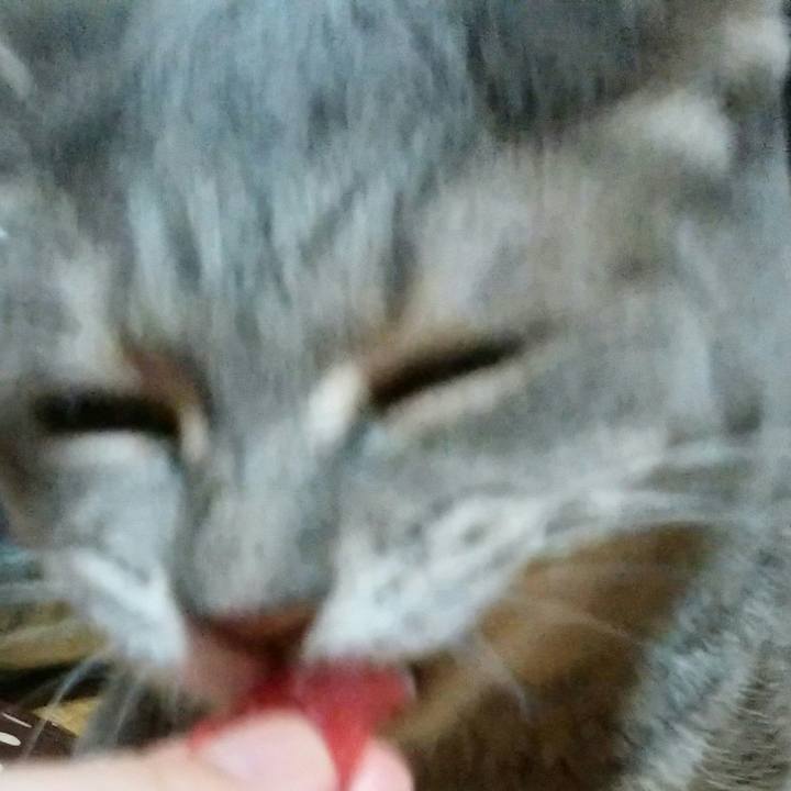 Fd901f0d 4261 4ce9 a7ea 60cdfc1394b2 1598017917560