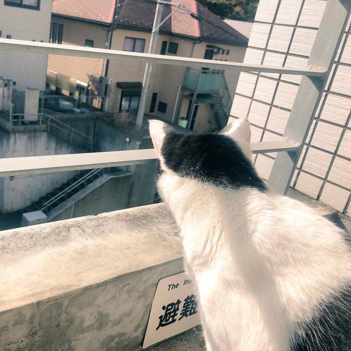 Fd906b81 9818 4b85 a425 0066c9526172 1542771448486