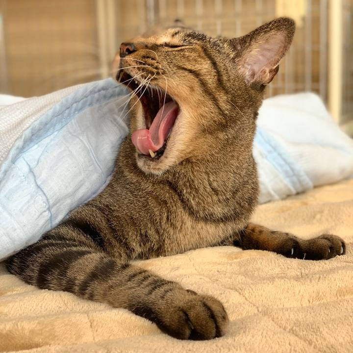 Fd907973 54ea 4e17 81d9 c41980fc175f 1571877723674