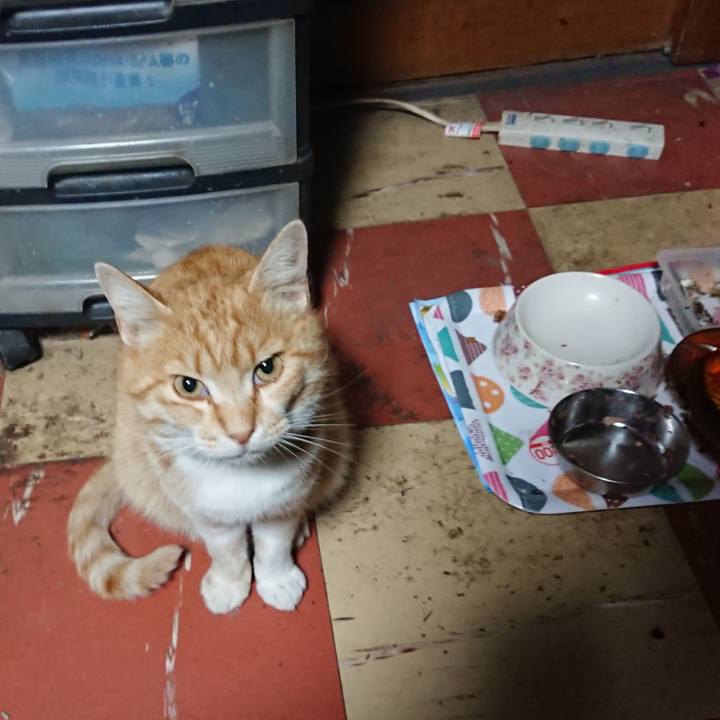 Fd9088eb 173f 4bc7 b3ed 0449a45a52ee 1588190023411