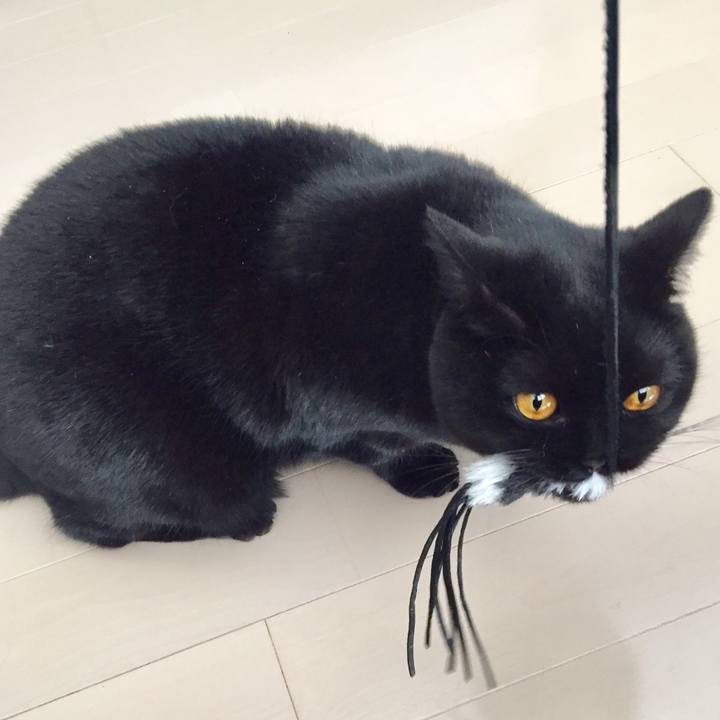 Fd908b38 bf62 4e8c 9d59 f9c78a5d48b7 1553486791862