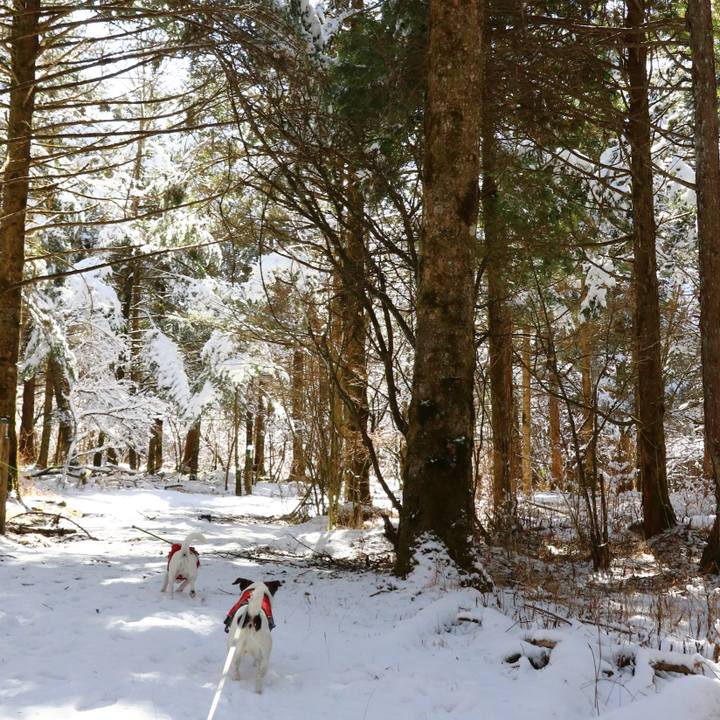 Fd9099b4 48dd 466e 8b1e d13982dd3fb4 1549104662136