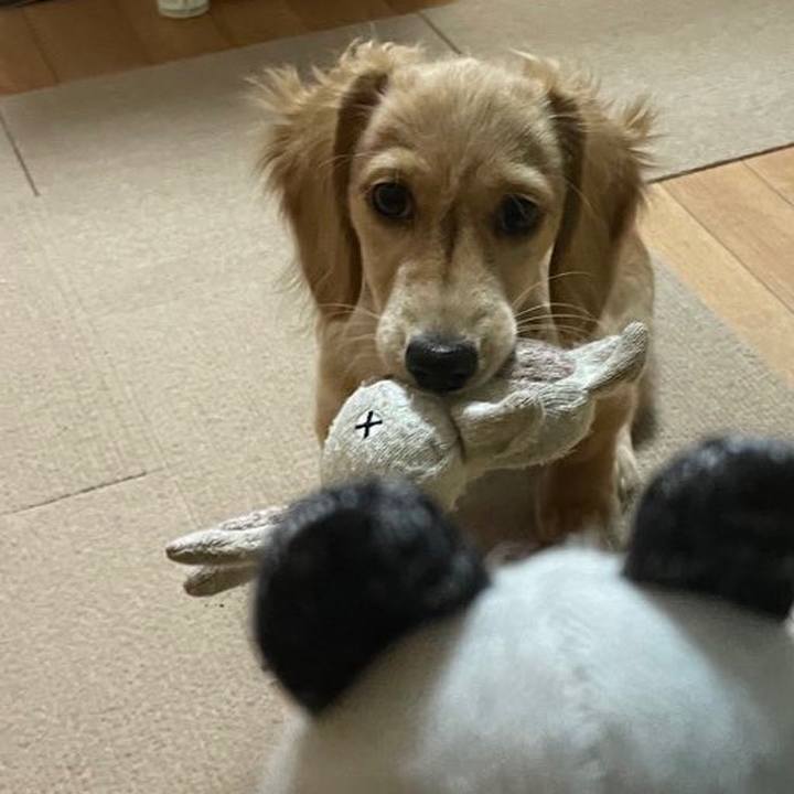 Fd90a36c bf9c 4be2 987e c03ae90c38b9 1667960446509