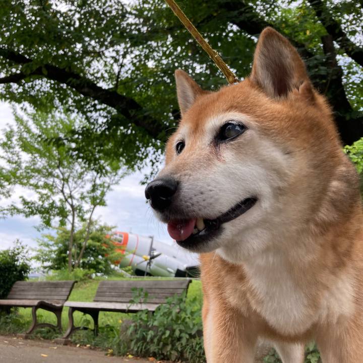 Fd90f1b6 5515 49de a4af 7af74bb86f5c 1658297061483