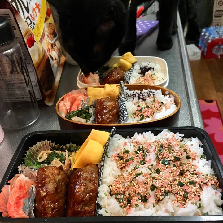 Fd910196 ad06 44eb 8f99 ebe30f9fd462 1521191759730