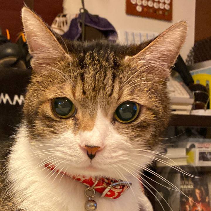 Fd911e0d 3bc0 462b 9b58 4b8e4b8b02f4 1574556935720