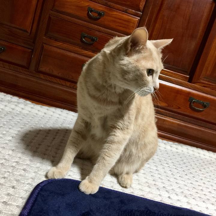 Fd91285a 2375 4fec 8926 78133c9b5642 1524221282396