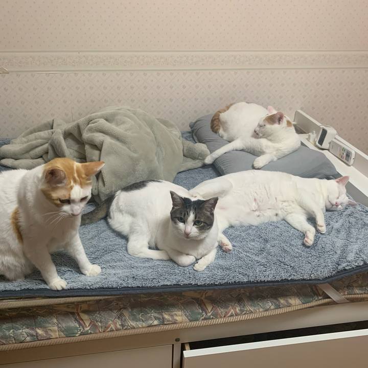 Fd912a20 0238 4091 914c fd7dcb267669 1641336401673