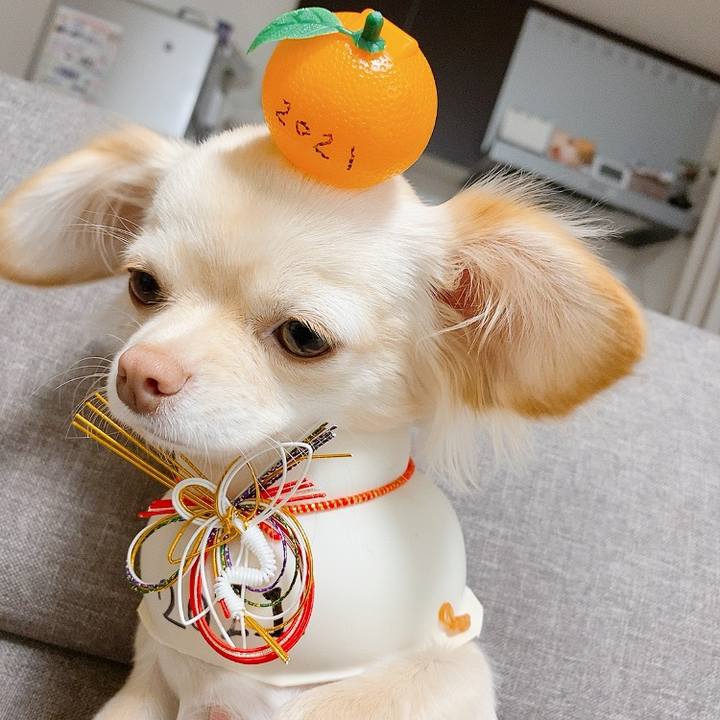 Fd9153f1 09d6 48bf a4a5 1592fa46b38e 1610724777306