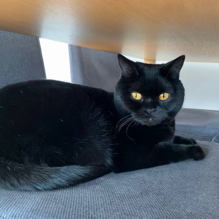 Fd917327 614a 4752 8c16 c372bf152fa6 1613008351048