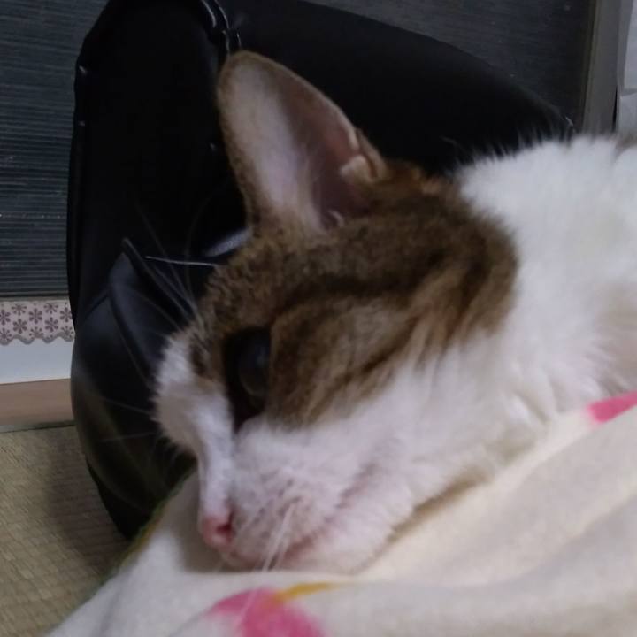 Fd91baba 8363 4a87 8502 871bbe71dd4e 1527943947954