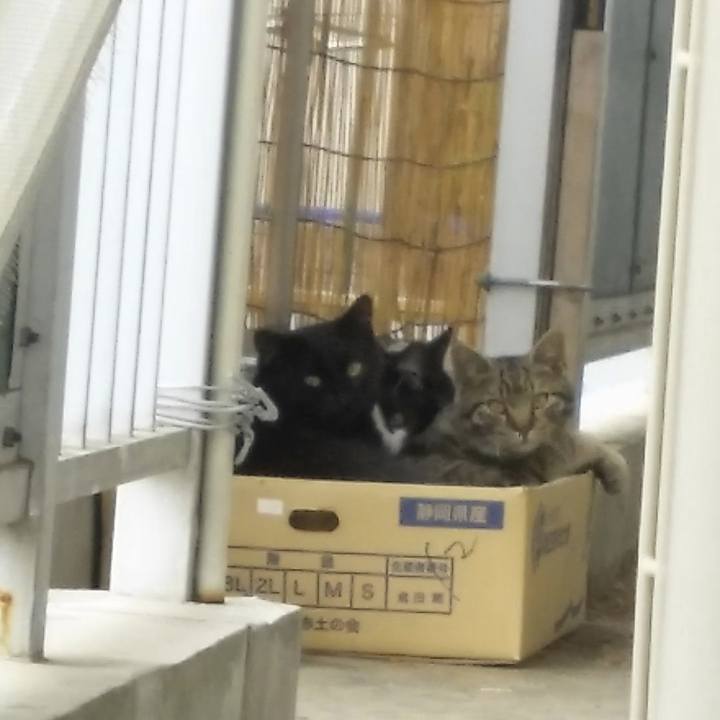 Fd91bced 3fd2 4951 afc8 22ab3bc7c917 1556069437810