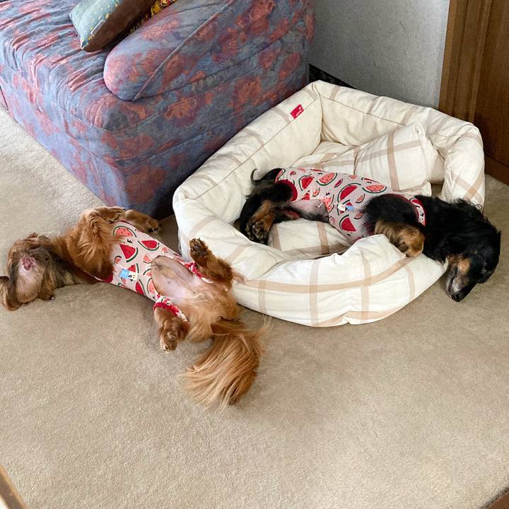 Fd91fef2 e221 4fbf b09b 0356df3aab6c 1756259508549