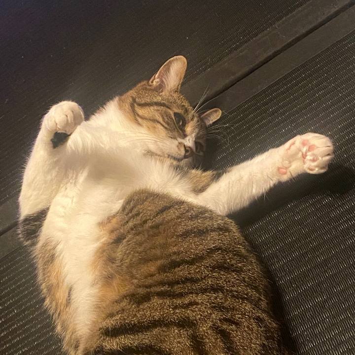 Fd920c0d f52a 41a2 8088 4546d03ad98b 1586539969117