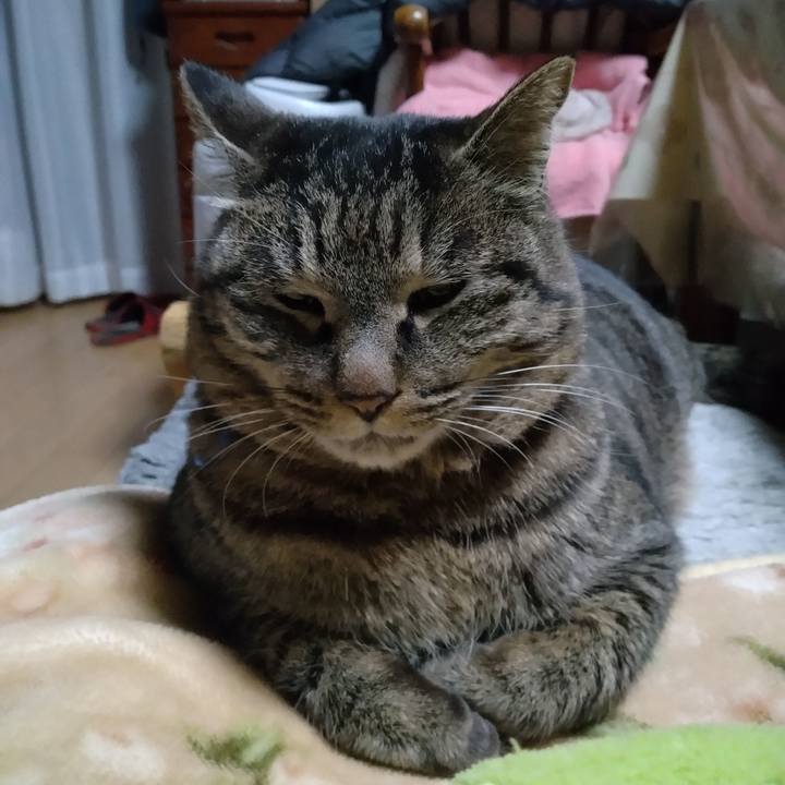 Fd9214ea 5d7c 4bd0 a40a fdd772de6839 1675981990220