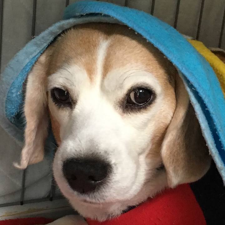 Fd9217b3 1a6f 41a8 85a5 def330c999f3 1550725832808