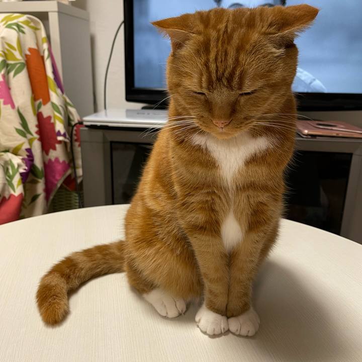 Fd923333 85d6 41a2 8ff1 9e7c6c143661 1654523291771