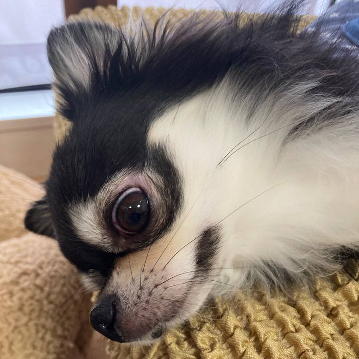 Fd926577 a1d0 4676 89c4 e337d04c93db 1654933064681