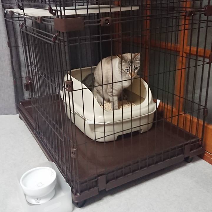 Fd927576 f566 45ce 9883 6b81f946236c 1523189146846