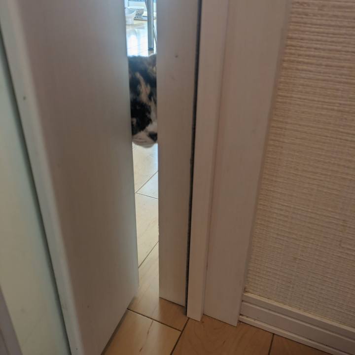 Fd927f91 2544 4931 8a58 bbc5dbab7d78 1697958290982