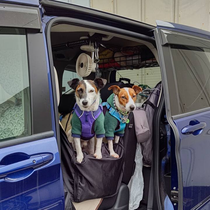 Fd92a1df 3c5c 4c58 a6b2 e372f98ef746 1635667059507