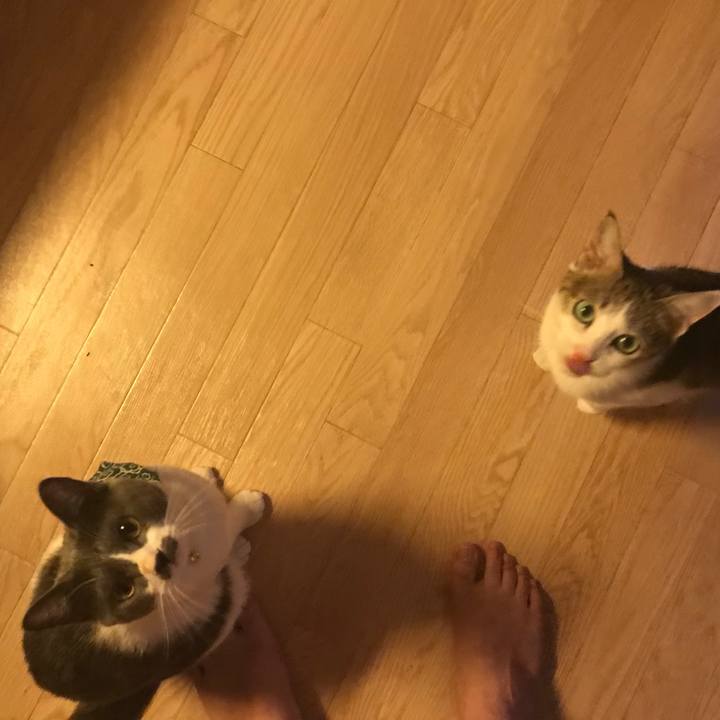 Fd92f84c bf8e 48b3 8790 282c8b27d62c 1623740702353