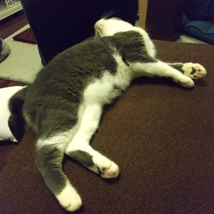 Fd931221 d62f 4f0f 92a8 f52a19d52d66 1626435177405