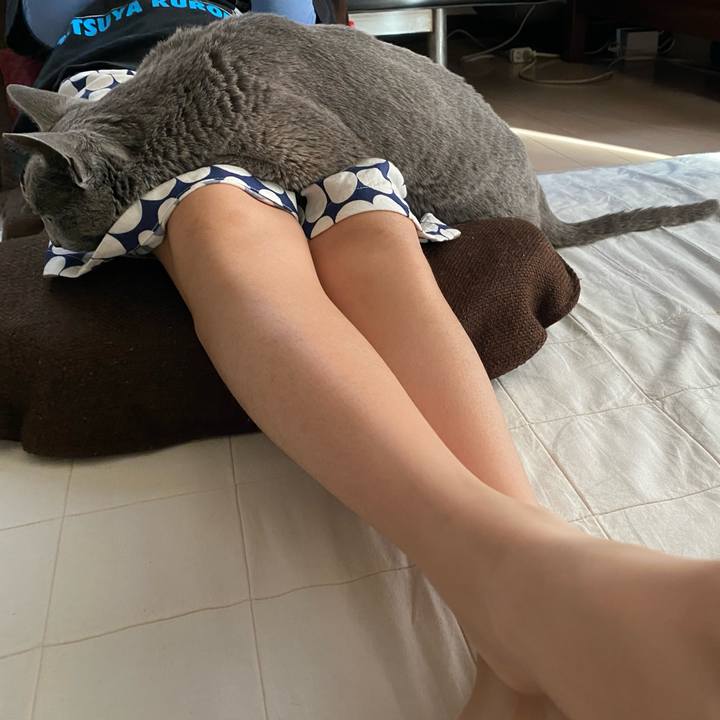 Fd9382c1 4a25 4ef3 845e d53cc5b32d7c 1588741294198