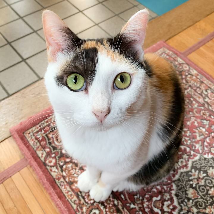 Fd938eb2 f7e7 48c5 9760 3500e7863b54 1572485641615