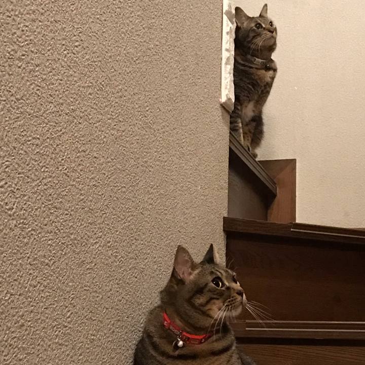 Fd93c2c8 6c83 4f76 80c2 bbd03dfdab0d 1590061525080