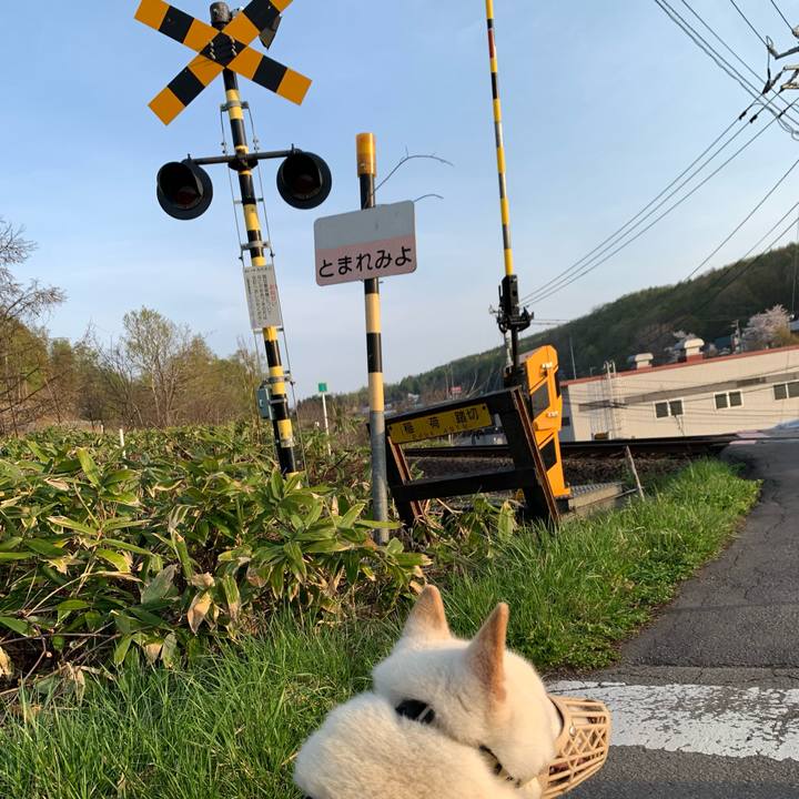 Fd93cdbb 140f 4db8 adbc dd592422accc 1651784973685