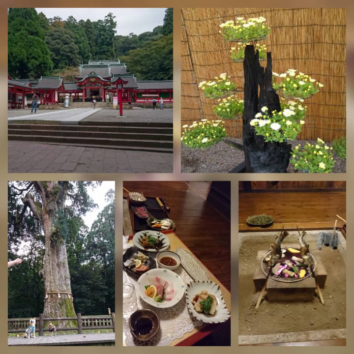 Fd93f1ae 7999 4e0c 9e14 a9762f903ba6 1509532751234